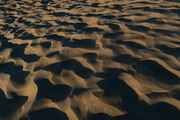 Naklejka premium Mesquite Flat Dunes, Sand dunes at Death Valley National Park