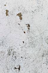 The vertical view of old,white, grey grunge concrete texture or background. Copy space. graphical resource