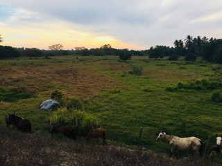 Obraz premium Atardecer en mi pueblo 