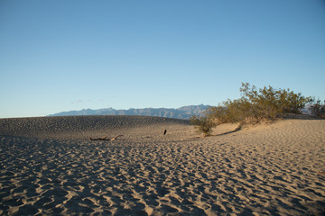 Fototapeta na wymiar Mesquite Flat Dunes, Sand dunes at Death Valley National Park