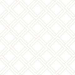 Vector seamless lattice pattern. Modern stylish subtle texture with monochrome trellis. Repeating geometric grid. Simple design background...