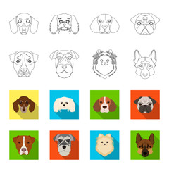 Muzzle of different breeds of dogs.Dog breed Stafford, Spitz, Risenschnauzer, German Shepherd set collection icons in outline,flet style vector symbol stock illustration web. © pandavector