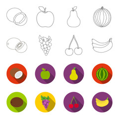 Kiwi, grapes, cherry, banana.Fruits set collection icons in outline,flet style vector symbol stock illustration web. © pandavector