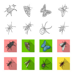 An insect arthropod, an osa, a spider, a cockroach. Insects set collection icons in outline,flet style vector symbol stock isometric illustration web. © pandavector