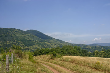 Fototapeta na wymiar Landschaft Naturpark Pfälzerwald