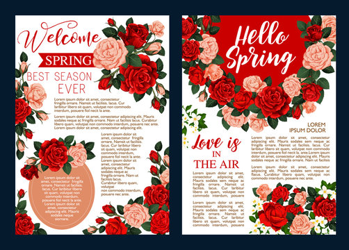 Rose flower banner of spring season holiday design