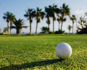 golf ball on green grass, palm trees background