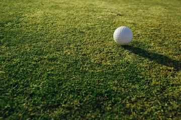 golf ball on green grass, closeup view