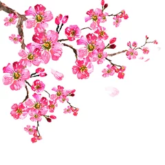 Papier Peint photo autocollant Fleur de cerisier sakura tree  watercolor, cherry bloom