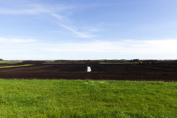 Fototapeta premium grass and black peat