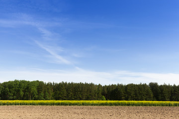 agricultural lands and canola
