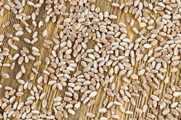 wheat seeds, closeup