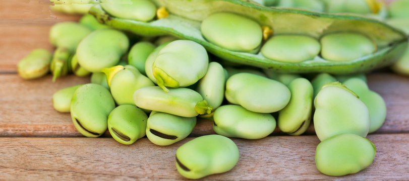 grains de feves fraiches