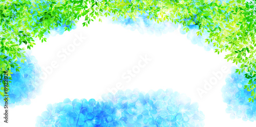 あじさい 梅雨 花 背景 Wall Mural Wallpaper Murals J Boy