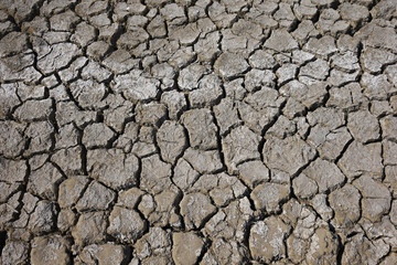 Climate warming dry chapped land