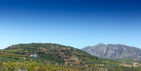 Naklejka premium Agricultural field in Crete, Greece