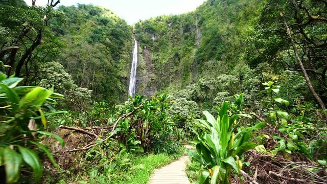 Tropical waterfall jungle hike on Pipiwai Trail in Haleakala, Maui, Hawaii