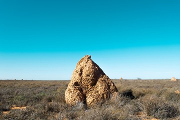 Termite Mound in Western Australia