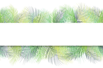 Tropical palm leaves background with horizontal banner on white background