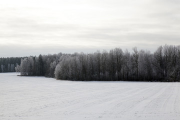 Snow drifts in winter