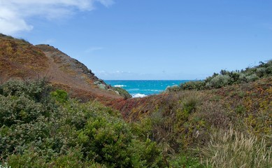 Shoreham Beach - Victoria, Australia