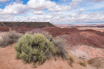 Painted Desert at Petrified Forest National Park