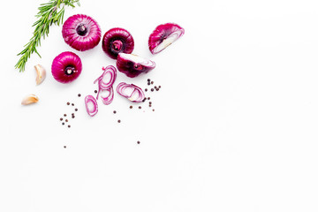 Red onion among spices rosemary, garlic, black peper on white background top view space for text