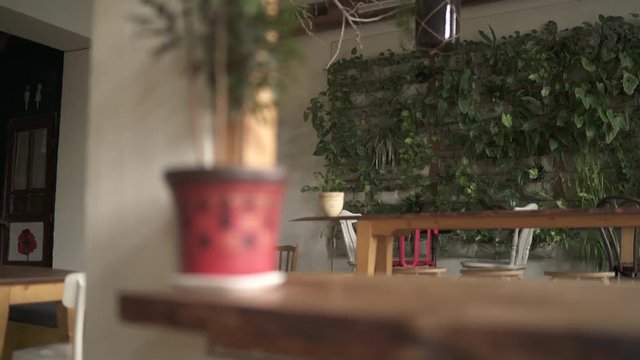 A plant wall and a tall table inside a cafe