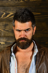 Serious hipster in barbershop, look. Hipster with beard serious face on wooden background