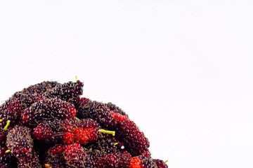 Mulberry is a sweet fruit which It is on white background healthy mulberry fruit food isolated 
