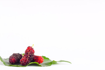 sweet red mulberry with green leaf on white background healthy mulberry fruit food isolated
