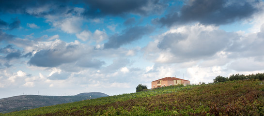 Fototapeta na wymiar Farmhouse on grass field, Greece