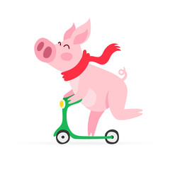 Cheerful pig riding a scooter