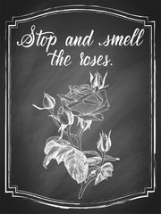 Hand drawn rose flower chalk sketch, with white lettering slogan Stop and smell the roses on black chalkboard background. Vector vintage illustration.