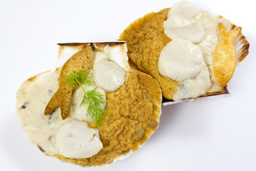 coquille saint-jacques