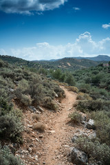 Dirt road and field, Crete, Greece