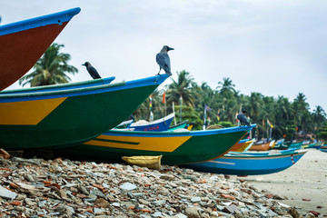 Fototapeta premium Сolored fishing boats on the beach