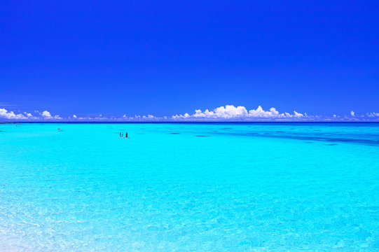 綺麗な海 の画像 8 121 件の Stock 写真 ベクターおよびビデオ Adobe Stock