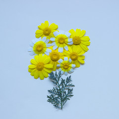 Bright daisies lie in the form of a flower on a light canvas. Concept - education, drawing, creativity. Copy space.