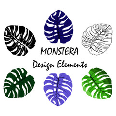 set tropical leaves flat style  multicolored, plants design elements, vector illustration, black, lilac, purple colors, text
