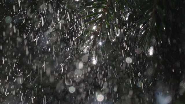 Heavy rain falling on fir branches with glittering icicles in slow motion. Epic exterior scene of wet forest with sunlight. Closeup view of peaceful nature. Shallow dof.
