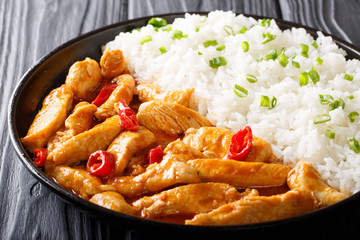 Delicious Thai chicken panang curry with garnish of rice close-up. horizontal