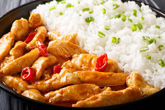 chicken panang curry with garnish of rice close-up. horizontal