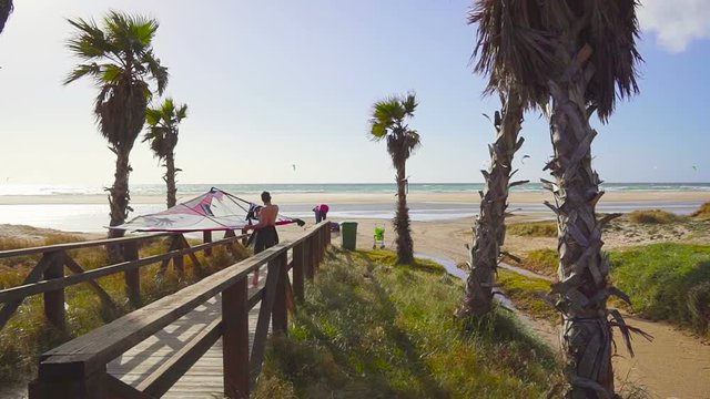 Palm trees with wooden bridge on sea in the background. Two kitesurfers go to the sea