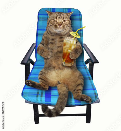 The Cat With A Glass Of Juice Sits On A Deck Chair At The