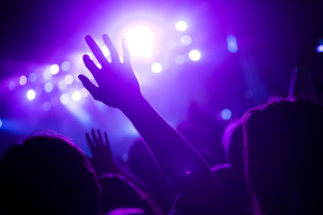 Cheering crowd at concert enjoying music performance