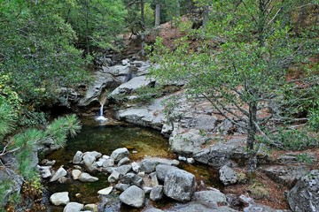 Corsica-brook in forest