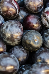 Pile of plum, closeup. Fresh sweet plum in local market.