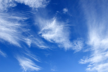 Sunny day with white fluffy clouds in the blue sky