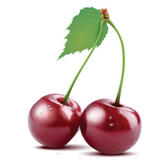 Two red cherries isolated on white background